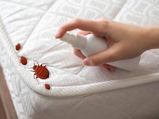 Best Residential Pest Control  in Scotia, NY